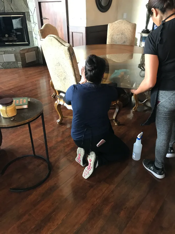 Ecoshine team cleaning a living room